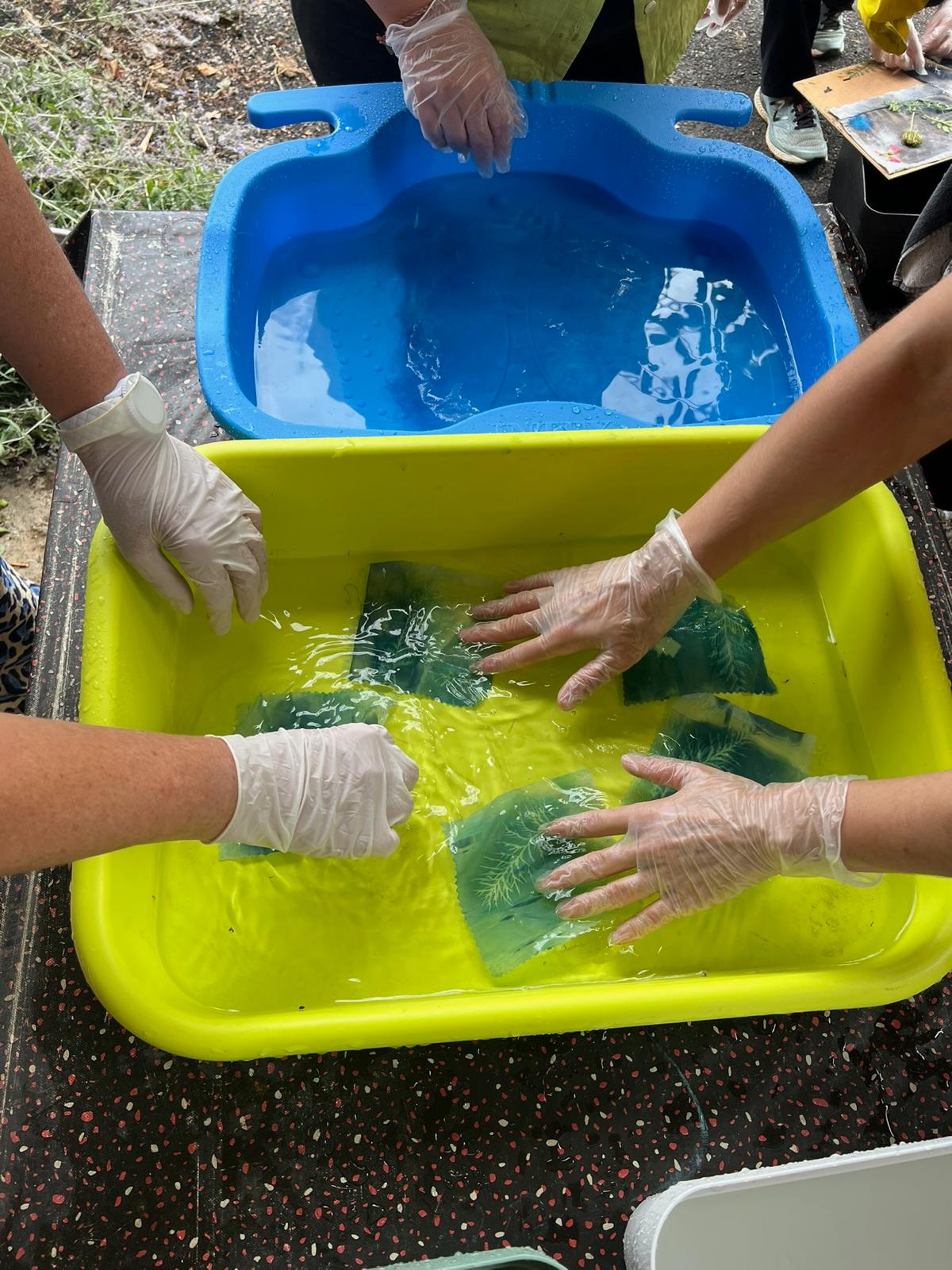 Plusieurs mains gantées rinçant des tissus imprimés de motifs végétaux dans des bassines d'eau colorée