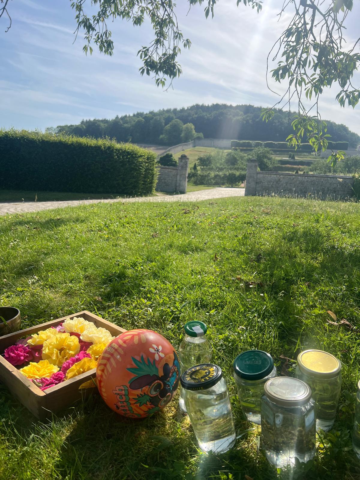 Matériel d'éveil sensoriel disposé sur l'herbe devant l'abbaye de Saint-Martin-de-Boscherville : plateau de fleurs colorées, ballon, bocaux d'eau